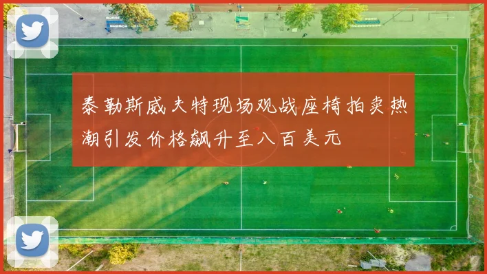 泰勒斯威夫特现场观战座椅拍卖热潮引发价格飙升至八百美元