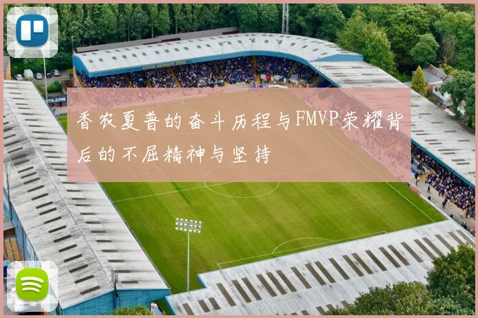 香农夏普的奋斗历程与FMVP荣耀背后的不屈精神与坚持